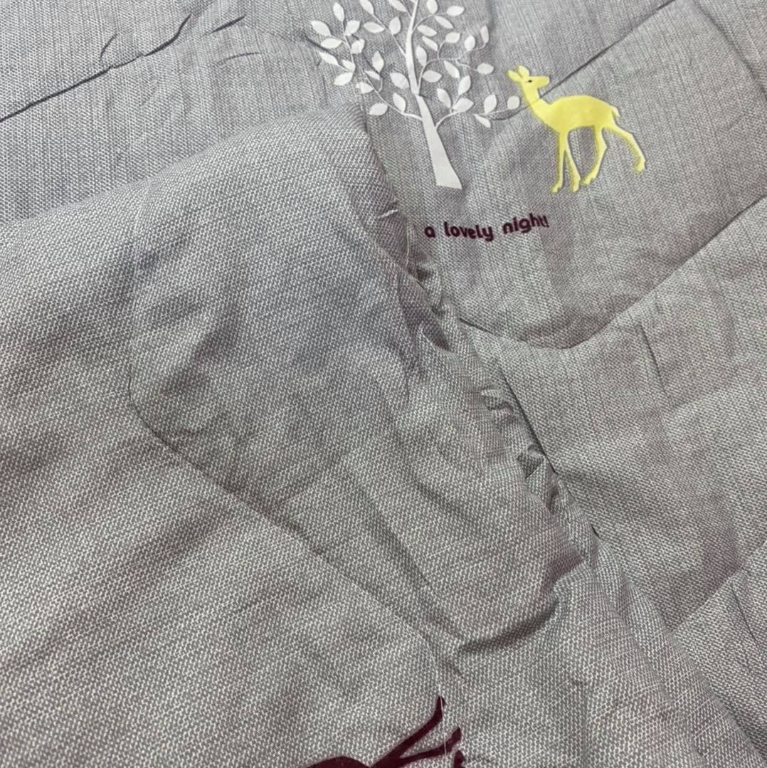 Sale 👍ผ้าห่มใยไหม 6 ฟุต ราคาพิเศษ นุ่มนิ่มมากๆ ไม่หนาไม่บาง กำลังดี