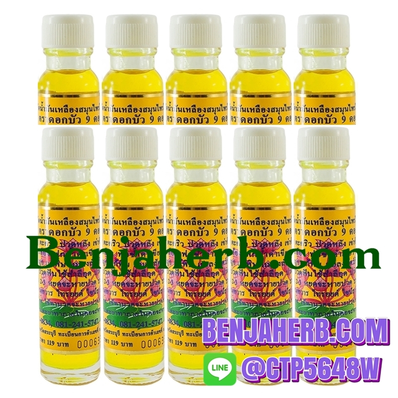 ไพลสกัดน้ำมันเหลืองสมุนไพรไทย – จีน ตราดอกบัว 9 ดอก 24 ซีซี (10 ขวด)