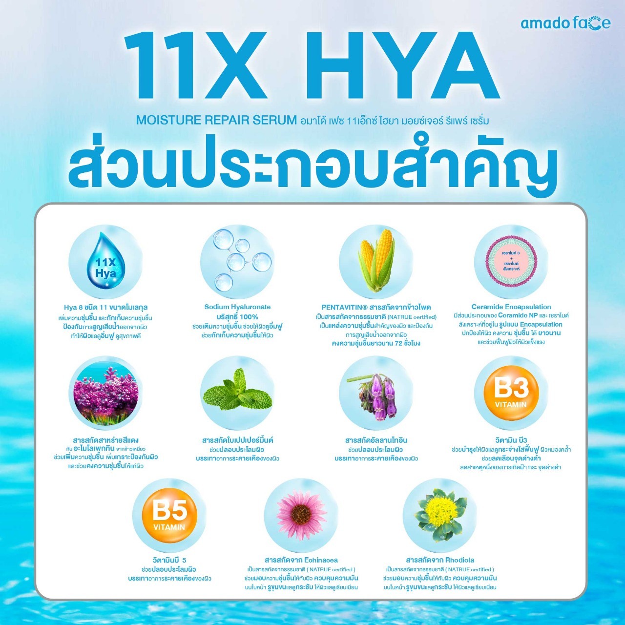 อมาโด้ เฟซ ไฮยา