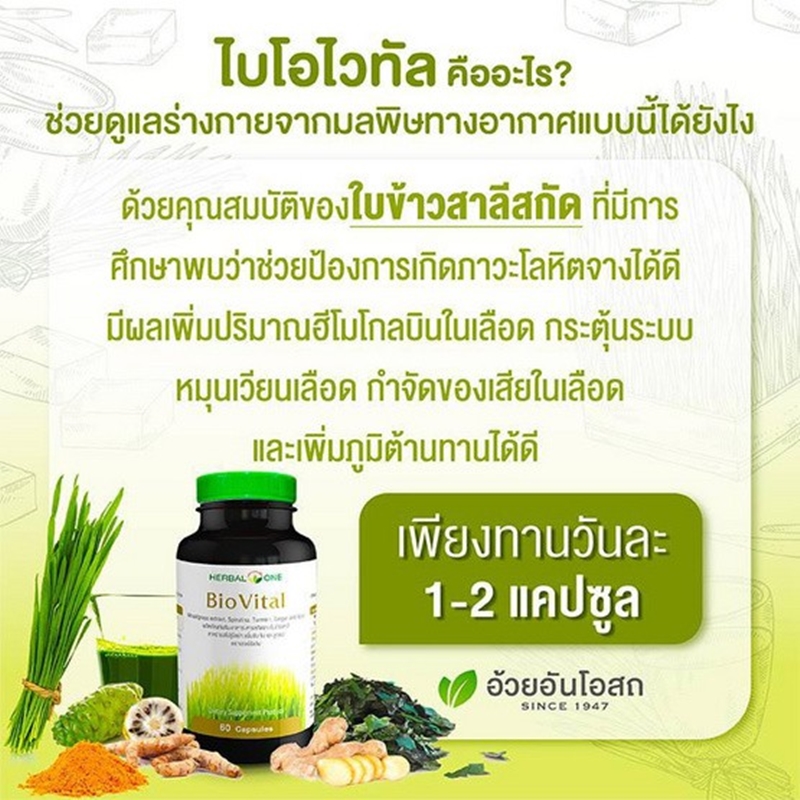 ไบโอไวทัล สารสกัดจากใบข้าวสาลีอ่อน อ้วยอันโอสถ BioVital