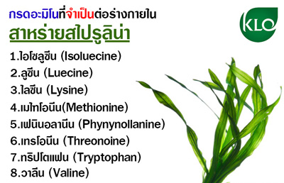 กรดอะมิโนที่จำเป็นต่อร่างกายในสาหร่ายสไปรูลิน่า