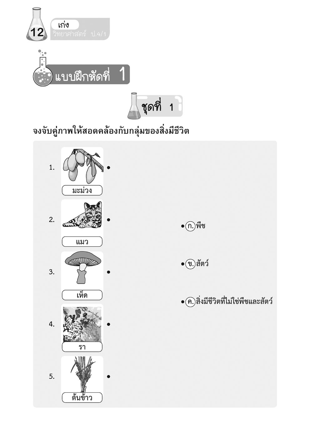 เก่ง วิทยาศาสตร์ ป.4 เล่ม 1 (หลักสูตรปรับปรุง พ.ศ.2560) โดย พ.ศ.พัฒนา