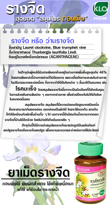 รางจืดสมุนไพรถอนพิษ