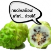 ขาวละออเภสัช ลูกยอ "กรดไหลย้อน! เก๊าท์... ช่วยได้"