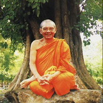 วิธีปราบไวรัสของคนโบราณ หลวงพ่อฤาษีลิงดำ
