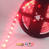 ไฟริบบิ้น 12v SMD5050 IP20 : สีแดง (R)
