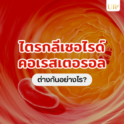 ความแตกต่างระหว่าง “ไตรกลีเซอไรด์” กับ “คอเรสเตอรอล”