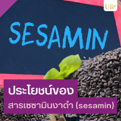 ประโยชน์ของสารเซซามินงาดำ (SESAMIN)