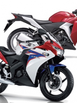 CD คู่มือซ่อม วงจรไฟฟ้า มอเตอร์ไซค์ Honda CBR150 R, CBR250 R ภาษาไทย