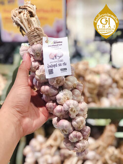 บ้านรักษ์ดิน กระเทียมน้ำแร่แม่ฮ่องสอน (GI) แบบมัดจุก 500 กรัม