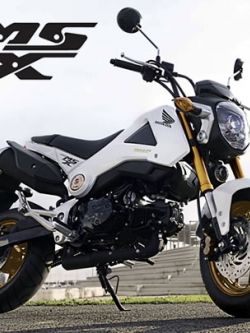 CD คู่มือซ่อม วงจรไฟฟ้า มอเตอร์ไซค์ Honda MSX125 (EN)