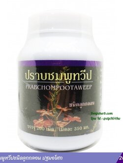 ปราบชมพูทวีปชนิดลูกกลอน ปฐมอโศก (200 เม็ด)