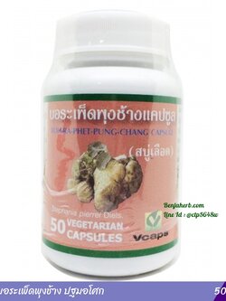 แคปซูลบอระเพ็ดพุงช้าง ปฐมอโศก (50 แคปซูล)