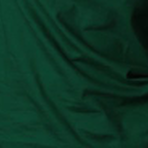 เสื้อยืด แขนสั้น คอวี