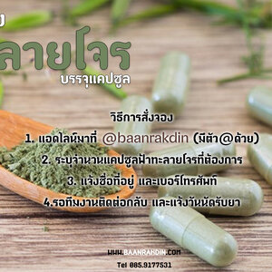 บ้านรักษ์ดิน เปิดให้สั่งจอง ฟ้าทะลายโจรบรรจุแคปซูล