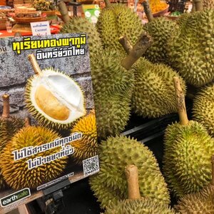 ทุเรียนทองผาภูมิ ของดีเมืองกาญจน์ จากบ้านรักษ์ดิน