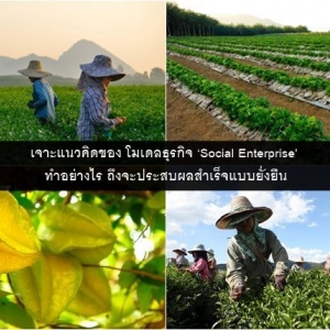 มาเรียนรู้โมเดลธุรกิจ ‘Social Enterprise’ ธุรกิจสร้างสุขที่ประสบความสำเร็จในประเทศไทย
