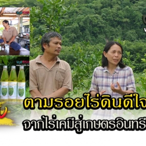 ตามรอยไร่ดินดีใจ 10 ปีจากไร่เคมีสู่เกษตรอินทรีย์ที่ยั่งยืน