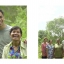 บ้านรักษ์ดิน ใบหม่อนอินทรีย์อบแห้ง 1 กก.