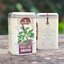 CRAFT OF TEA ชาใบกะเพรา แบบกระปุก