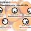 เคอร์มิน500 ผงขมิ้นชันชนิดแคปซูล คุณภาพส่งออก โดยขาวละออ 100 แคปซูล