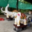 ช้างไชโย เทพพนมพรีเมี่ยม2