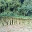 บ้านรักษ์ดิน งาดำอินทรีย์ 500 กรัม