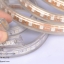 ไฟสายยาง 220v รุ่น SMD5050 60led/m