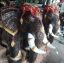 ช้างปั้นดินเผา ทรงเครื่องพรีเมี่ยม