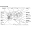 CD คู่มือ WIRING DIAGRAM TOYOTA PRIUS HYBRID ปี 2005 เครื่องยนต์ 1NZ-FXE