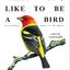 บินไปได้อย่างนก What it’s like to be a bird