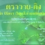 ใบแปะก๊วยสกัดชนิดเม็ด ตรา วาย-กิง (Y-Gink) "ของแท้"