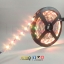 ไฟริบบิ้น 12v รุ่น 5050 IP20 : แบบไม่กันน้ำ