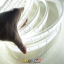 ไฟสายยาง 220v รุ่น 5630 120led รุ่น Milky wire