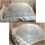 มุ้งครอบ Big Size ใหญ่มาก XXL, XXXL