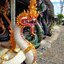 พญานาค