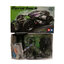 18713 Tamiya Razorback (FM-A Chassis)