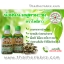 ยาน้ำมันเหลืองสูตรน้ำมันมะรุมตราหมอเหรียญ โพธิ์ดาวเภสัช (น้ำมันนวดสูตรมะรุมตราโพธิ์ดาว)